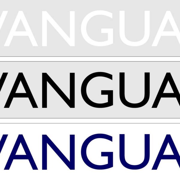 Rib Name Patches 350mm x 55m (Pair)